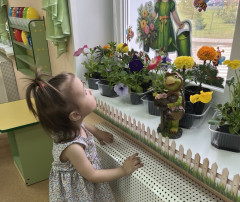 Уход за цветами на окне в группе «Капитошка» Уход за цветами на окне в группе «Капитошка».